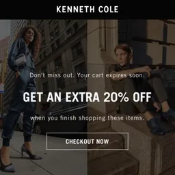 Checkout email for Kenneth Cole