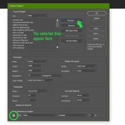 How to list all the images from one folder into a contact sheet with Photoshop Step 3-1